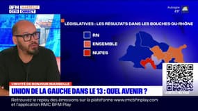 Législatives: Mohamed Bensaada, ancien candidat LFI, évoque l'avenir de la Nupes