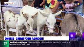 Alpes-de-Haute-Provence: la 39ème foire agricole à Ongles s'est tenue ce week-end