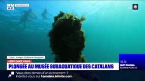 L'été chez vous : plongée au Musée subaquatique de Marseille