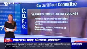 L'OMS recense 5322 cas confirmés de variole du singe dans le monde