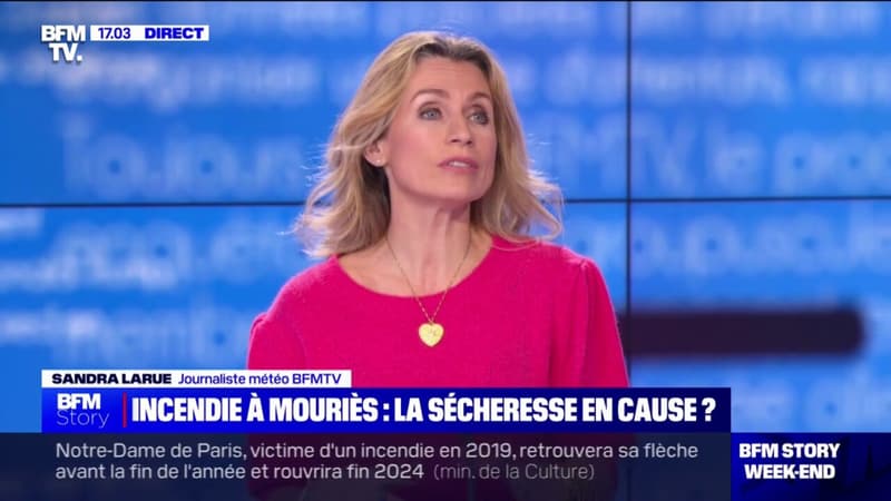 Sécheresse, mistral: les causes de l'incendie en plein hiver à Mouriès
