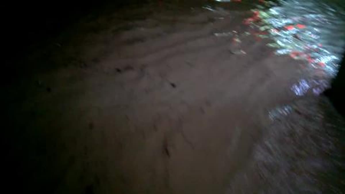 placeholder video