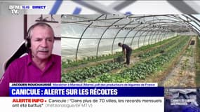 Jacques Rouchaussé: "Les plantes se sentent agressées par cette chaleur"