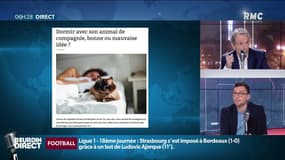 Dormir avec son animal de compagnie, une bonne idée?