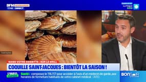 Dans votre assiette: votre nouveau rendez-vous culinaire sur BFM Normandie
