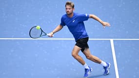 D. Goffin