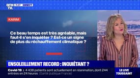 Les petits commerces pourront-ils ouvrir le dimanche ? - BFMTV répond à vos questions