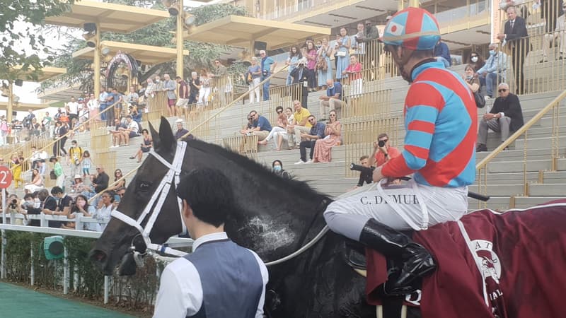 Qatar Arc Trials : Démonstration de Deep Bond, déception de Snowfall