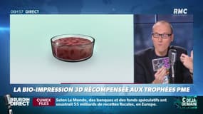 La chronique d'Anthony Morel : La bio-impression 3D récompensée aux Trophées PME - 18/10