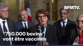 Dermatose bovine: la prise de parole en intégralité d'Annie Genevard, ministre de l'Agriculture