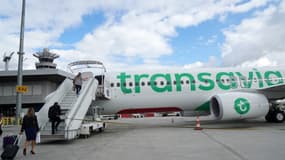 Un avion Transavia sur le tarmac de l'aéroport d'Orly, le 12 octobre 2019 (photo d'illustration)