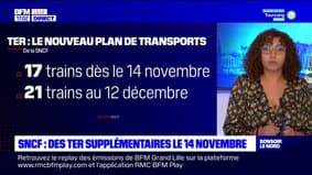 TER dans les Hauts-de-France: des trains supplémentaires pour le 14 novembre