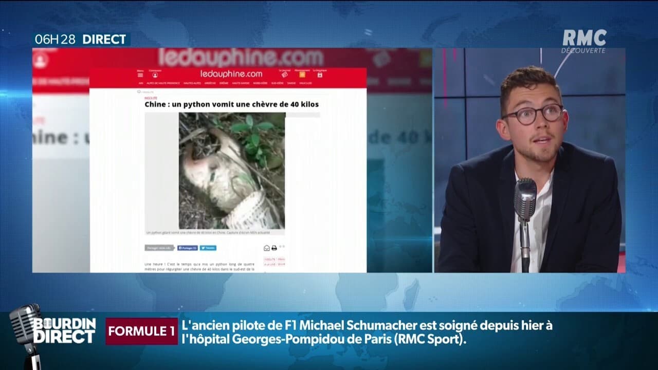 Un python vomit une chèvre en Chine