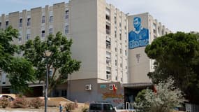 La cité de la Castellane, à Marseille