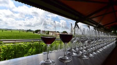 Un vignoble de Saint-Emilion