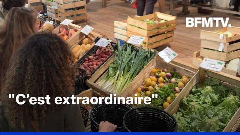 ROBIN DE BFM - Sur ce marché, c’est vous qui décidez du prix de vos courses