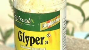  Qu’est-ce que le glyphosate, cet herbicide omniprésent dans nos céréales?