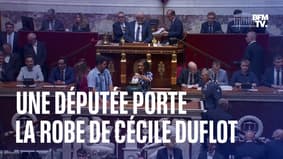 Une députée porte la robe de Cécile Duflot qui lui avait valu des remarques sexistes à l'Assemblée nationale