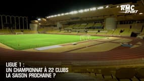 Ligue 1 : Un championnat à 22 clubs la saison prochaine ?