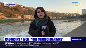Lyon: des associations dénoncent des "méthodes barbares" pour éliminer les ragondins