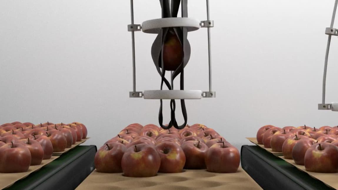 Hollow, le robot déformable de Compliance Robotics, peut prendre et déplacer des pommes délicatement. Hollow, le robot déformable de Compliance Robotics, peut prendre et déplacer des pommes délicatement.