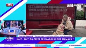 Des wagons SNCF pour animaux : "Ça a été épouvantable", Chantal raconte un voyage horrible avec des animaux