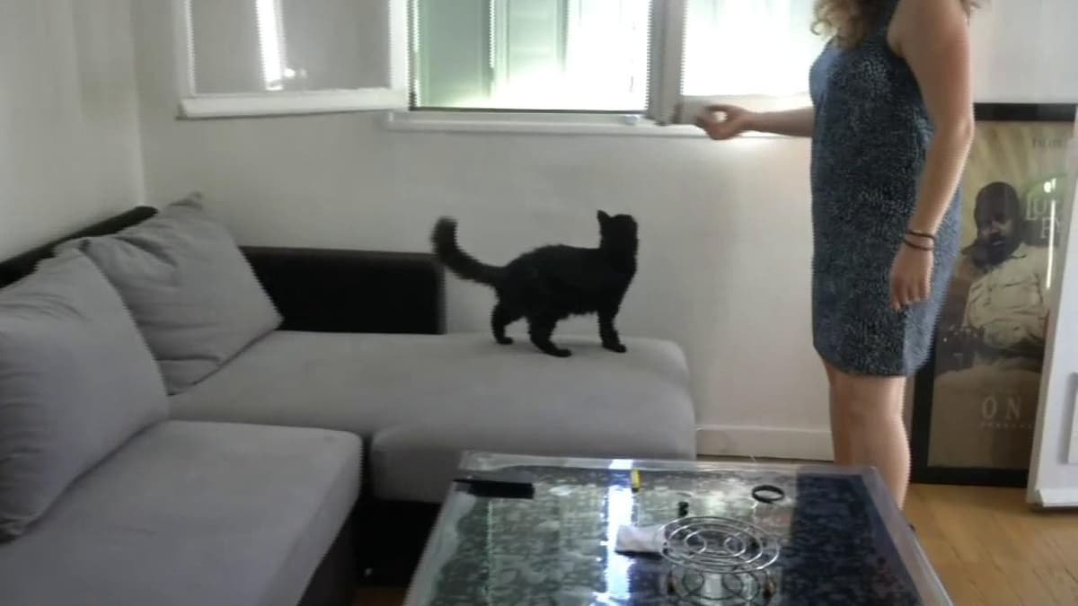 placeholder video