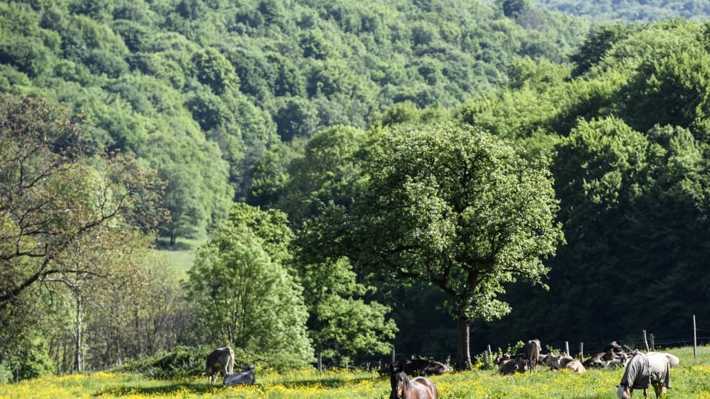 Le nouveau parc national de Bourgogne-Champagne photographié en 2017.
