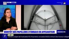 Lyon: Ariane Gayout, doctorante et chercheuse en physique à l'ENS de Lyon, souhaite voir comment des papillons s'adaptent à l'apesanteur