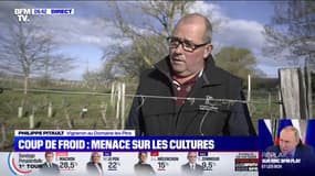 Vague de froid: ce vigneron en Indre-et-Loire utilise la technique de l'aspersion pour éviter le gel 