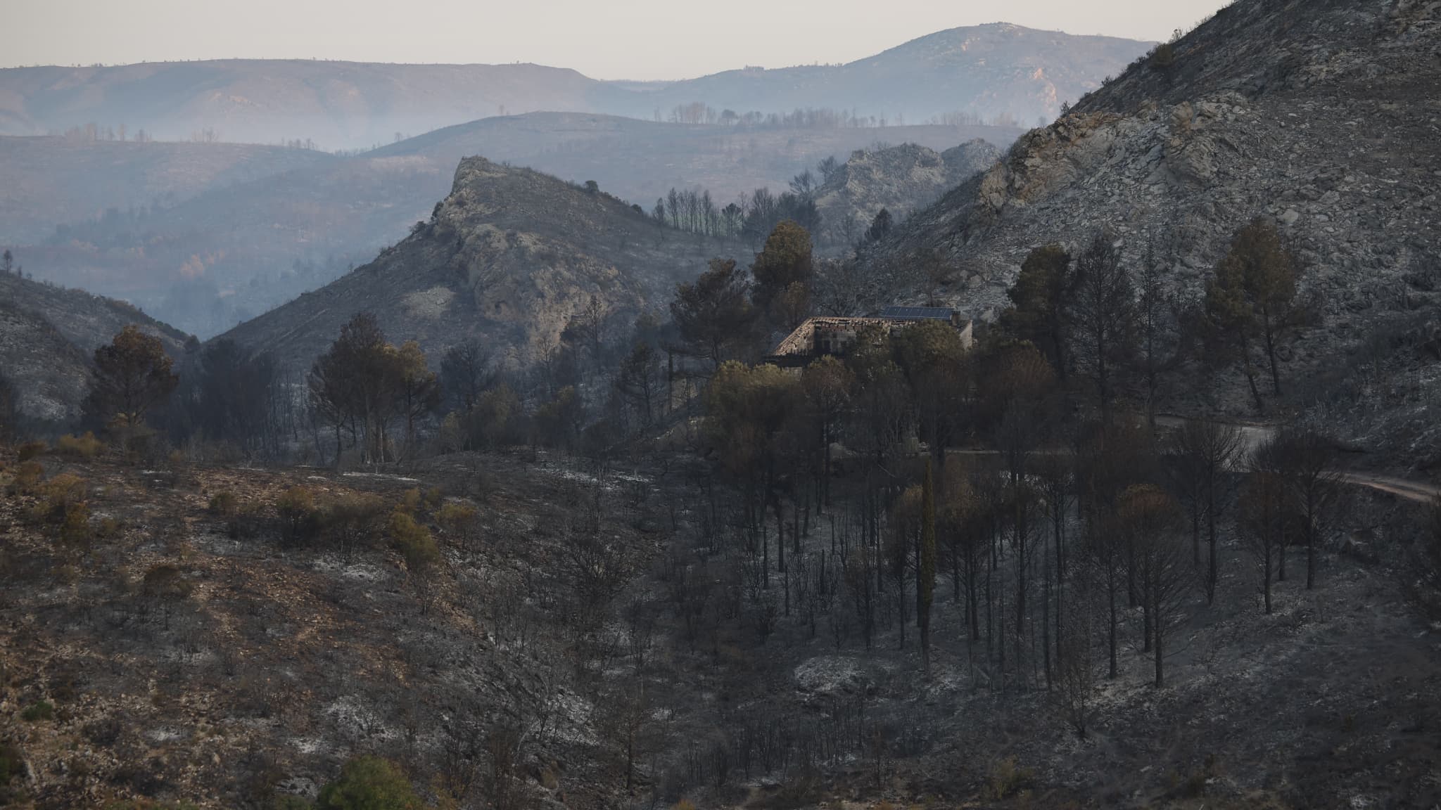 Une zone forestière brûlée lors d'un incendie de forêt à Fraisse-des-Corbières, dans l'Aude, le 7 août 2025 Une zone forestière brûlée lors d'un incendie de forêt à Fraisse-des-Corbières, dans l'Aude, le 7 août 2025