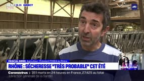 Rhône: une sécheresse "très probable" cet été