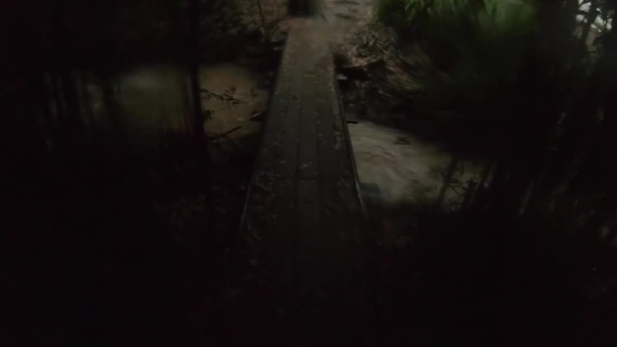 placeholder video