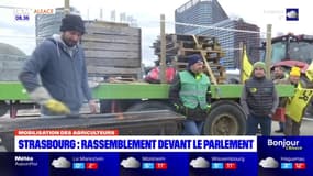 Strasbourg: un rassemblement des agriculteurs alsaciens devant le Parlement européen