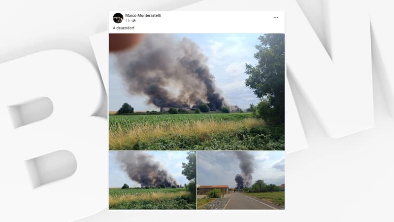 L'incendie a ravagé un hangar de 1000m² ce jeudi sur la commune de Dauendorf.