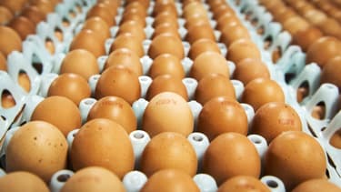 Après le lait, ce sera bientôt le tour des dons d'oeufs aux associations qui pourront bénéficier d'une défiscalisation.