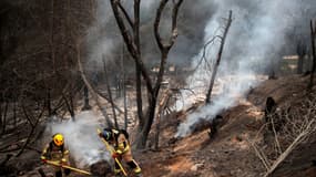 Des pompiers au Jardin Botanique de Viña del Mar, au Chili, le 4 février 2024.