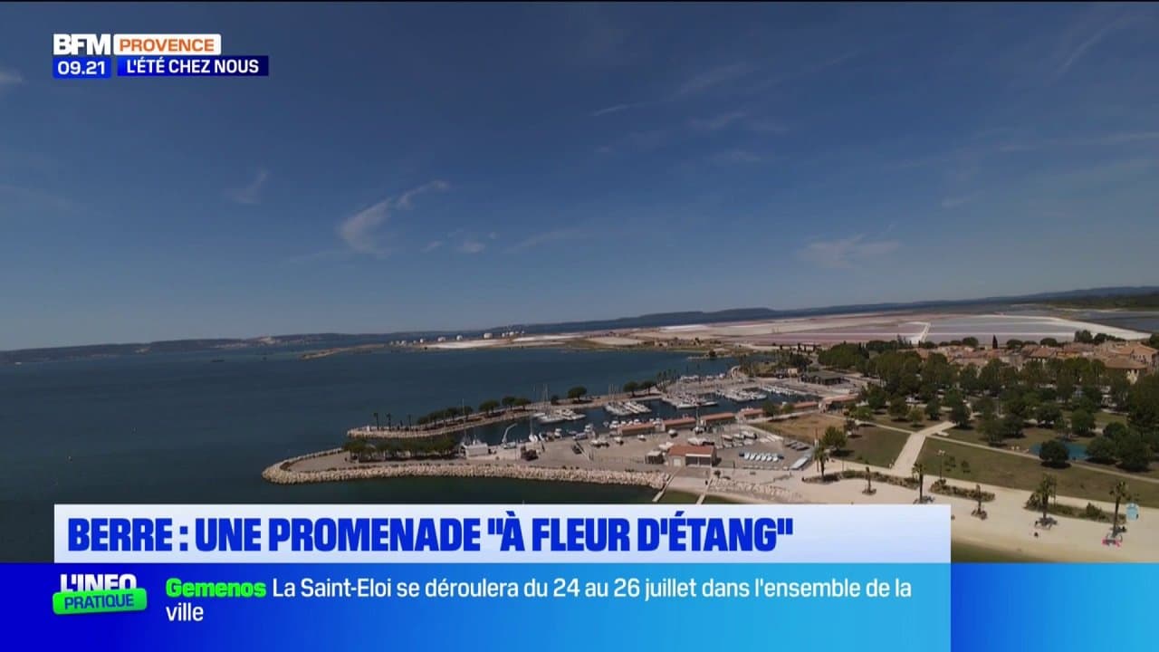 L'éte chez nous : une promenade "à fleur d'étang" à Berre