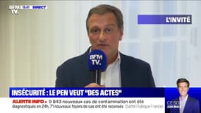 Louis Aliot: "L'ensauvagement est une réalité"