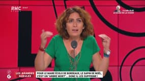 "Fermez vos gueules et travaillez": Isabelle Saporta s'emporte contre les écologistes "caricaturaux"