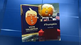 Une Trumpkin, une citrouille d'Halloween à l'effigie de Donald Trump. 