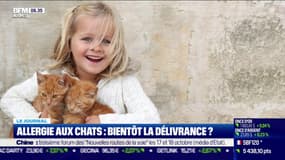 Allergie aux chats: bientôt la délivrance ?