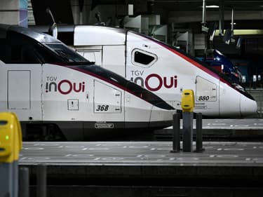 Des trains, Gare Montparnasse, le 19 janvier 2023. (Illustration)
