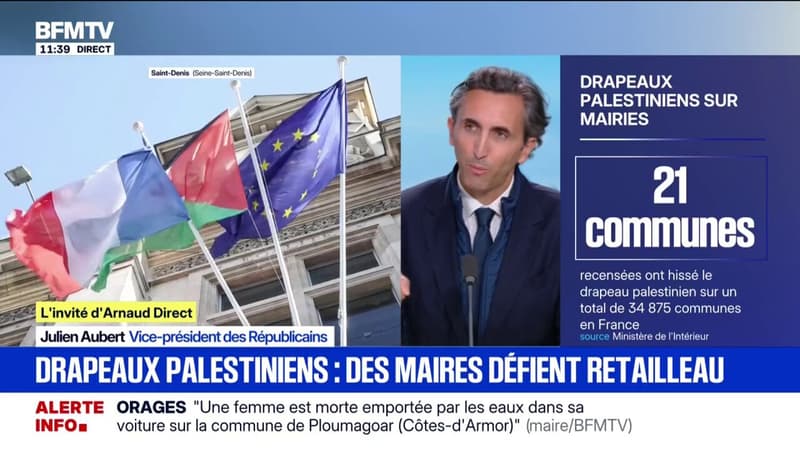 Drapeau palestinien: 