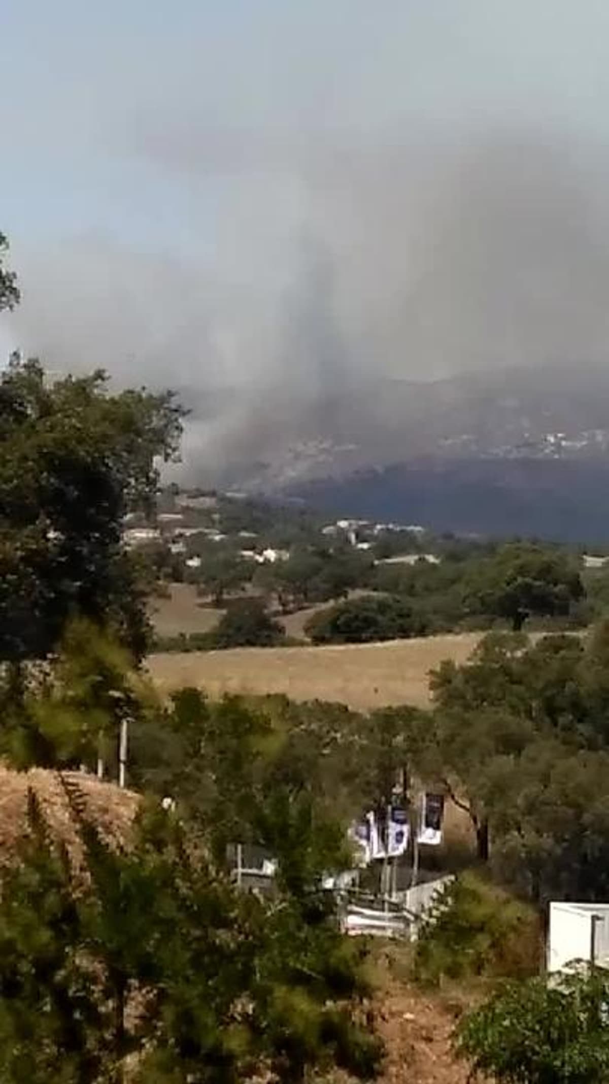 placeholder video