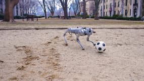 DribbleBot, les robots d'Improbable AI Lab qui jouent au foot