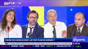 Les Experts : Colère des agriculteurs, un trop-plein de normes ? - 26/01