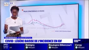 Covid-19: le taux d'incidence baisse légèrement à Paris