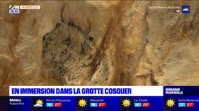 Bouches-du-Rhône: en immersion dans la grotte Cosquer 
