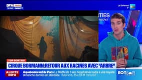 Top Sorties Paris du vendredi 13 décembre - Cirque Bormann : retour aux racines avec "Arbre"
